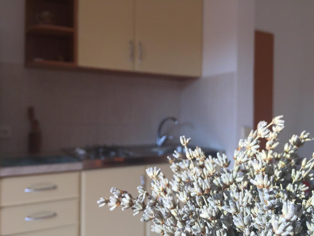 Sunny Rock Volme Apartments Banjole Dış mekan fotoğraf